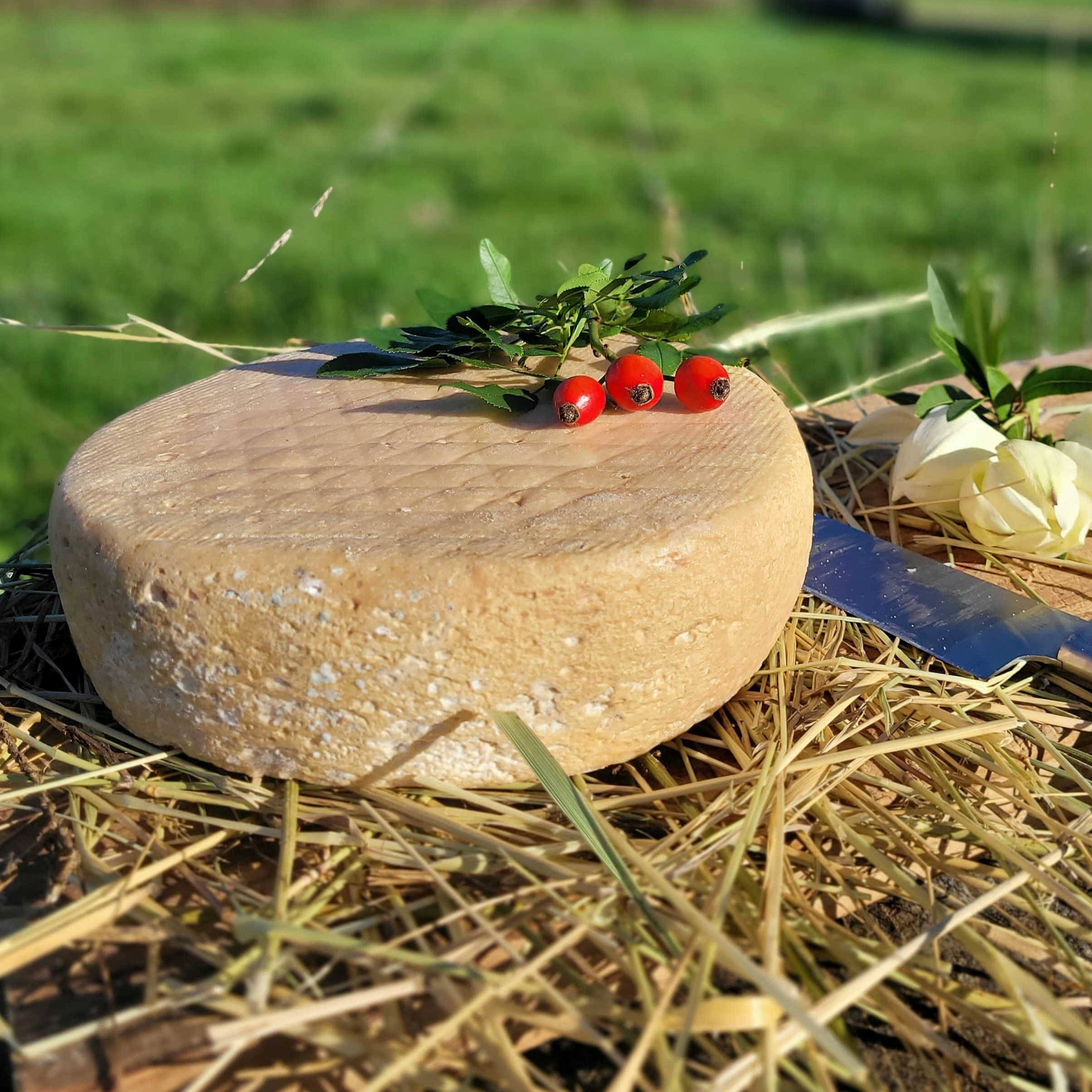 1 Raclette de chèvre entiere - 2000g