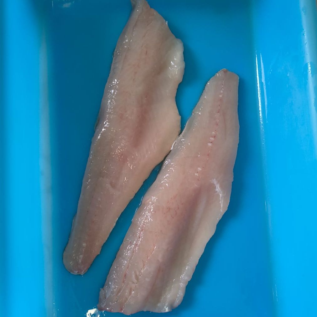 Filets de sandre (paquets de 2 filets) - 0,35kg
