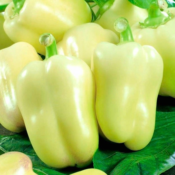 poivrons jaunes B - 1kg
