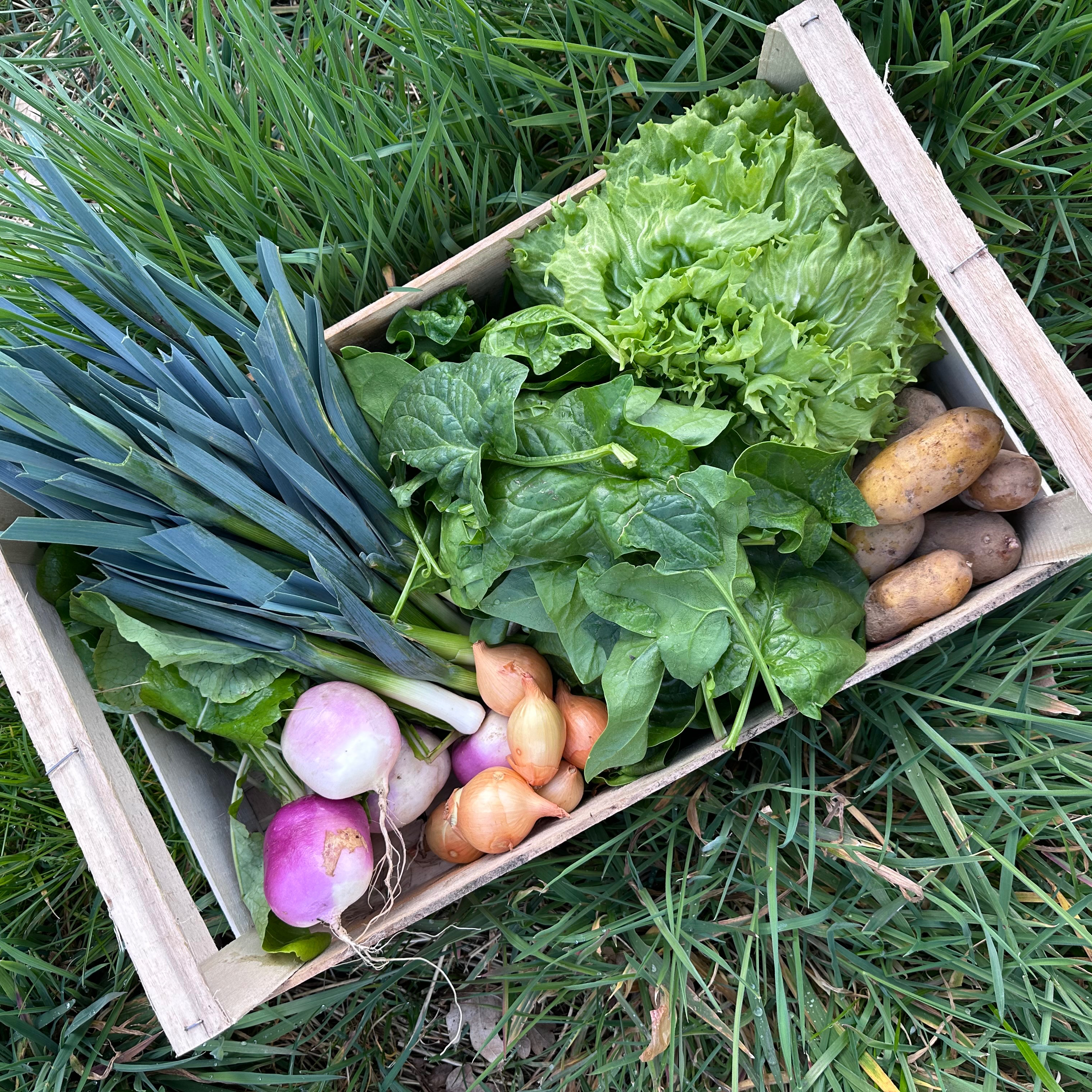 PETIT PANIER DE SAISON