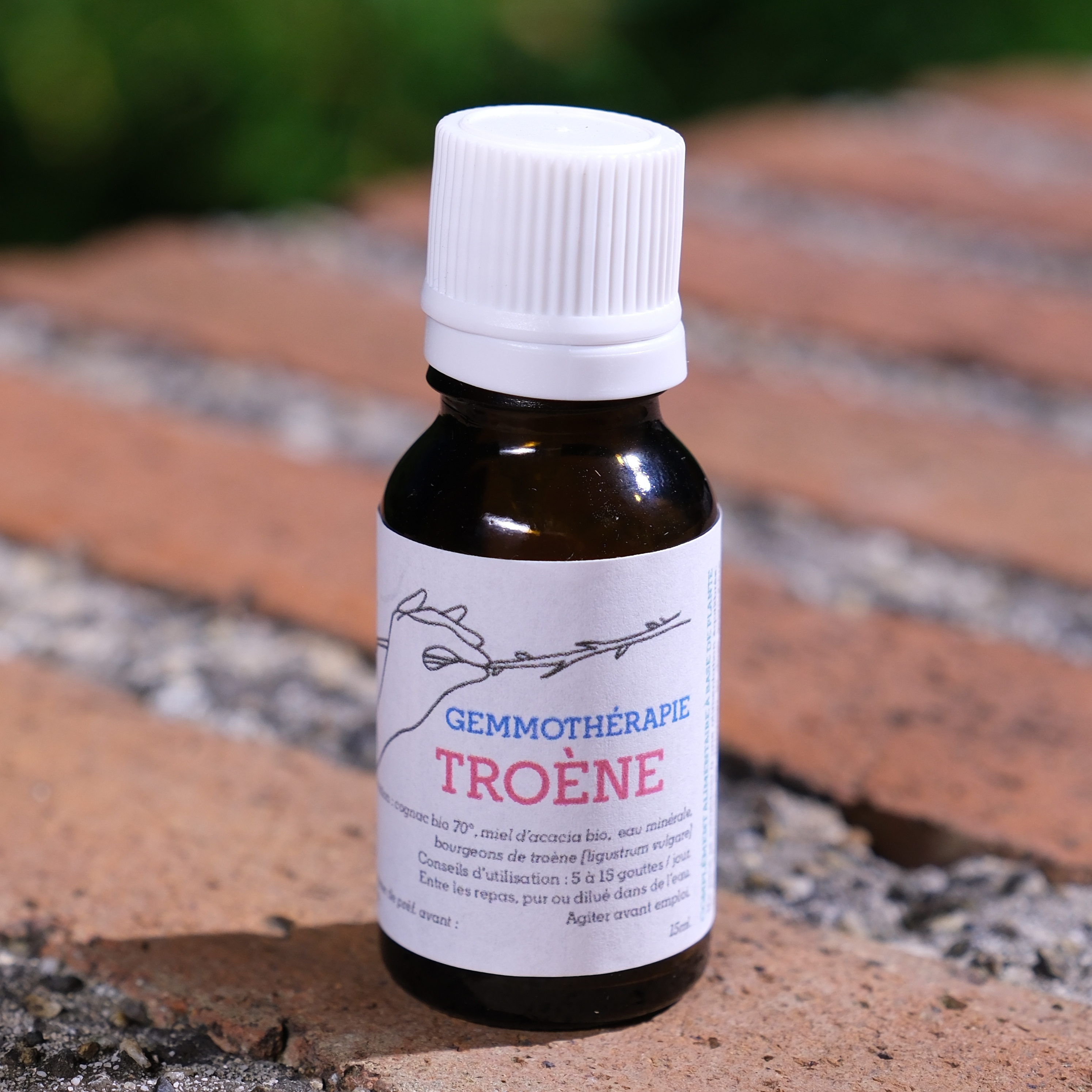 Troène • Peau & Sommeil - 15ml