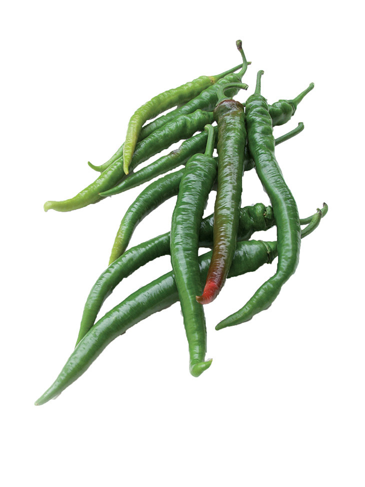 Plants De Piment doux