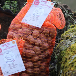 Noix Grenoble AOP - calibre +32