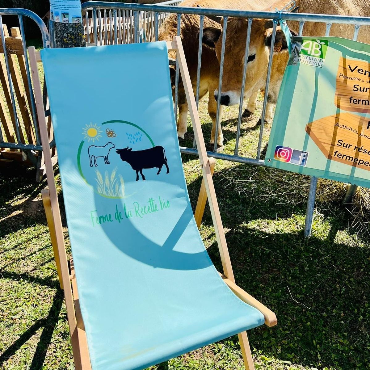 Pack activité famille