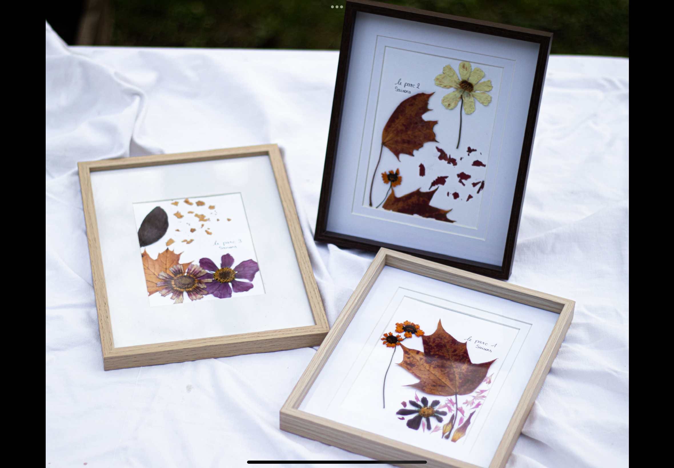 Composition de fleurs pressées - Le parc 1, 2 et 3 🌸