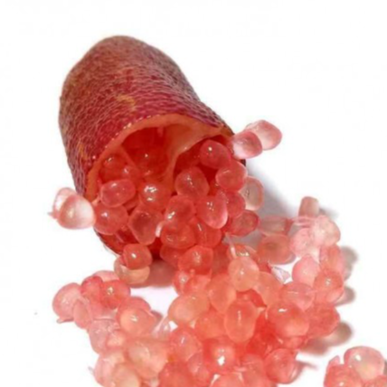 Citron caviar rouge par 50gr