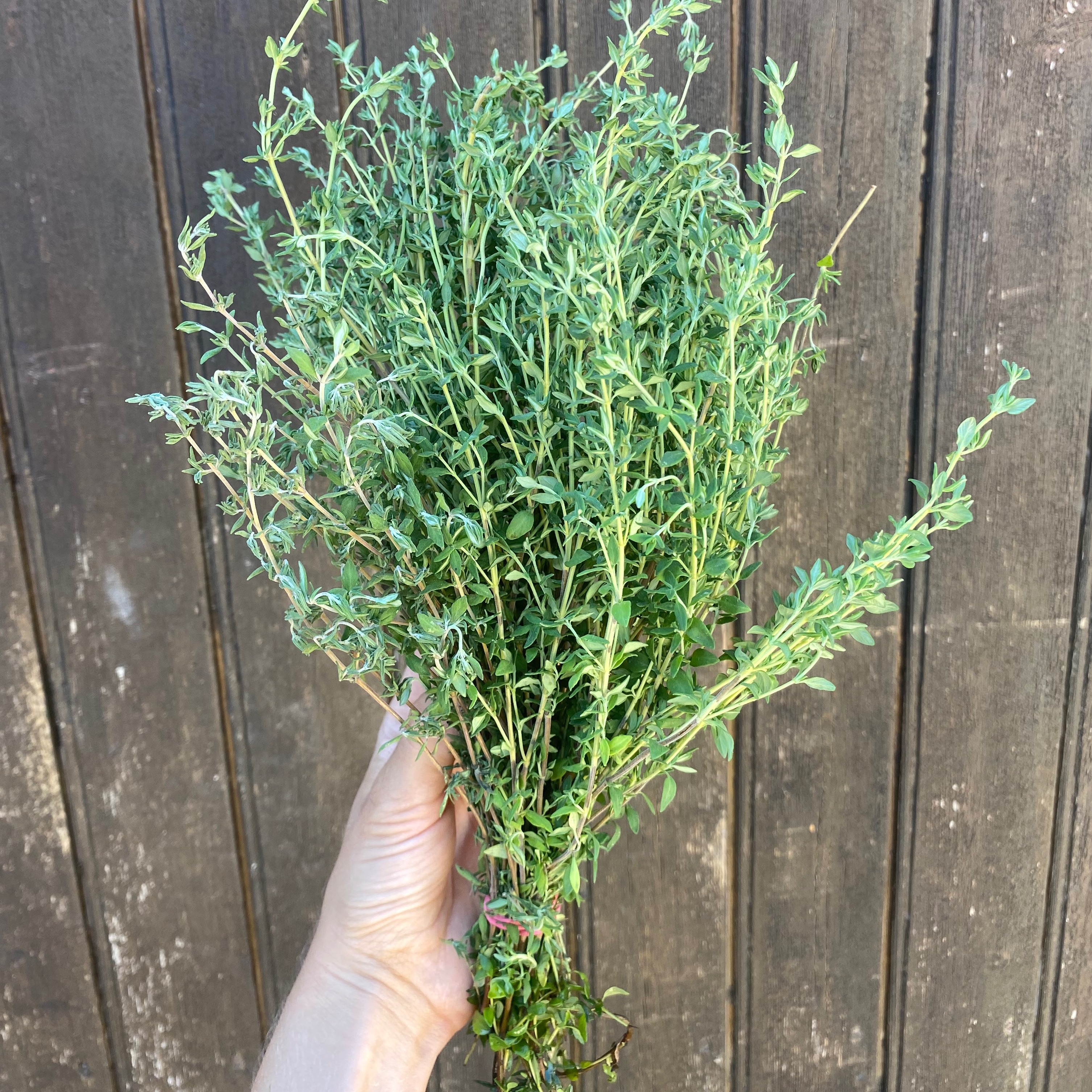 Bouquet de thym - 50g