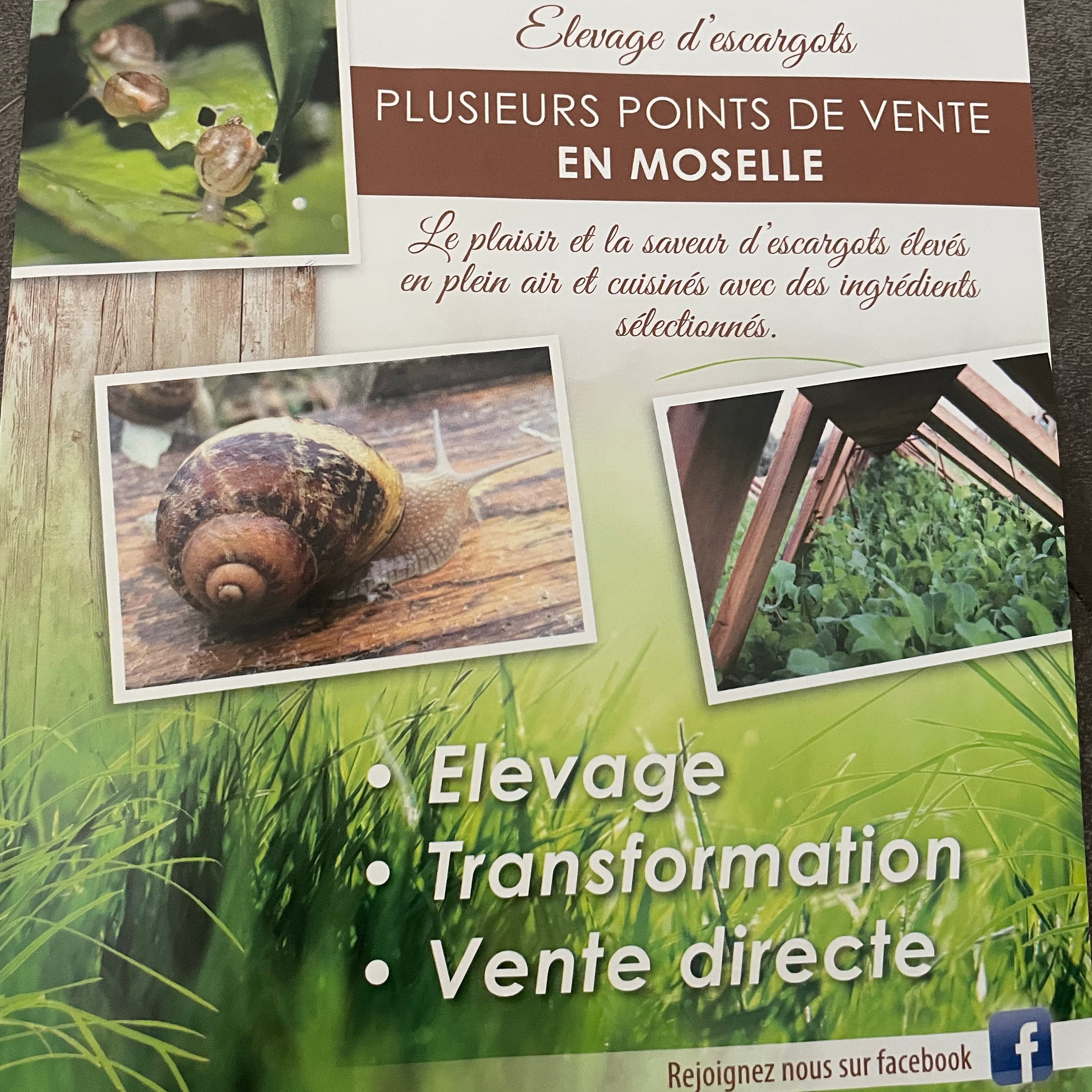 60 Escargots en cRoquille à la bourguignonne