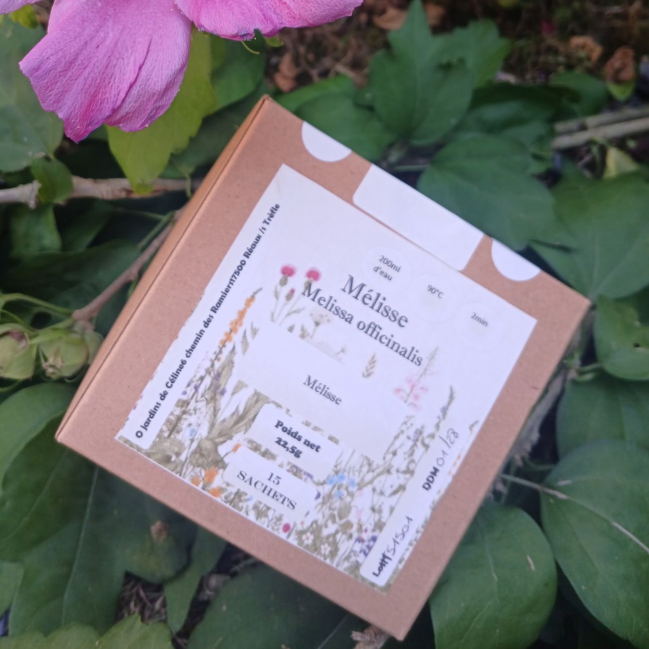 Tisane Mélisse - 15 sachets - 22,5g