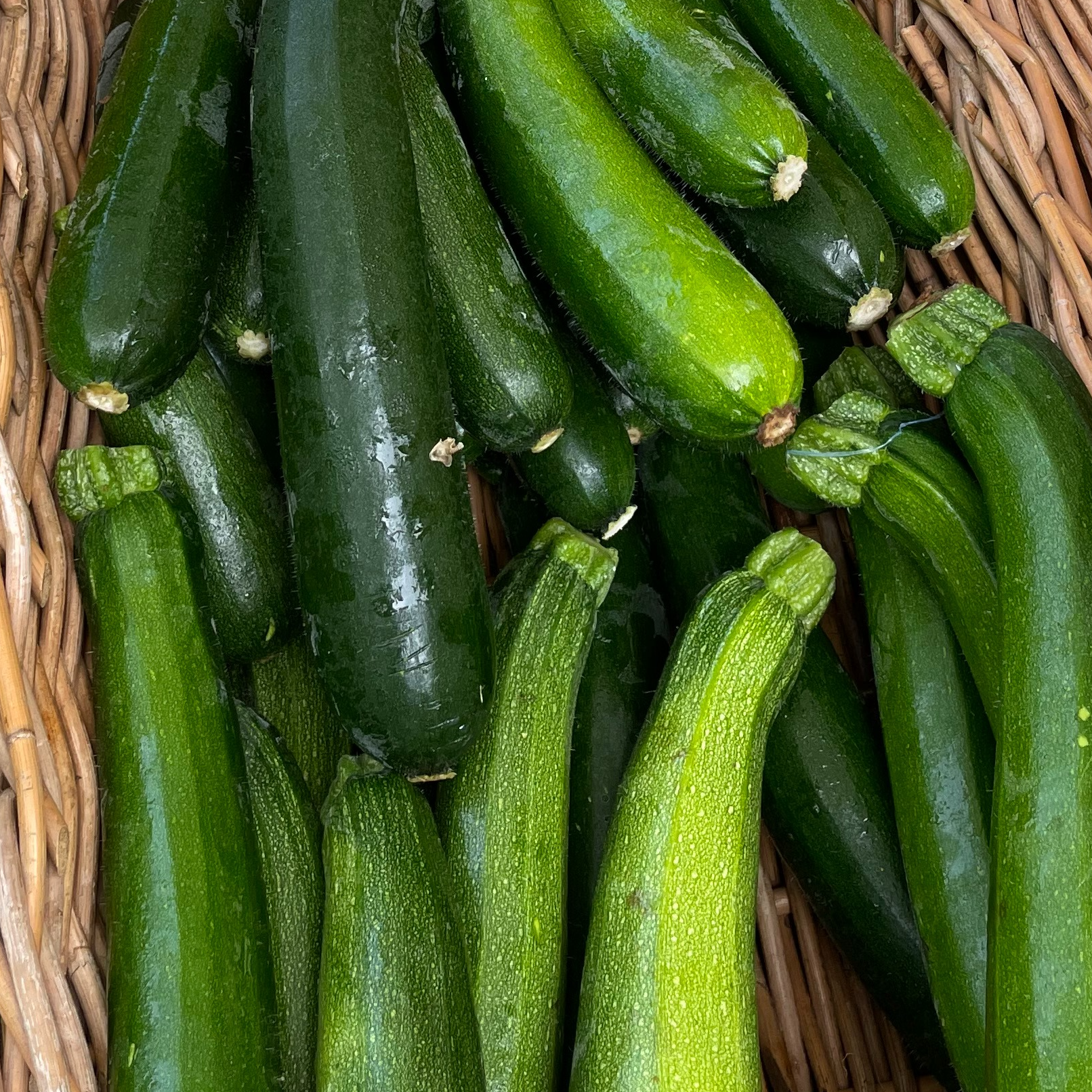 Courgette - 500g