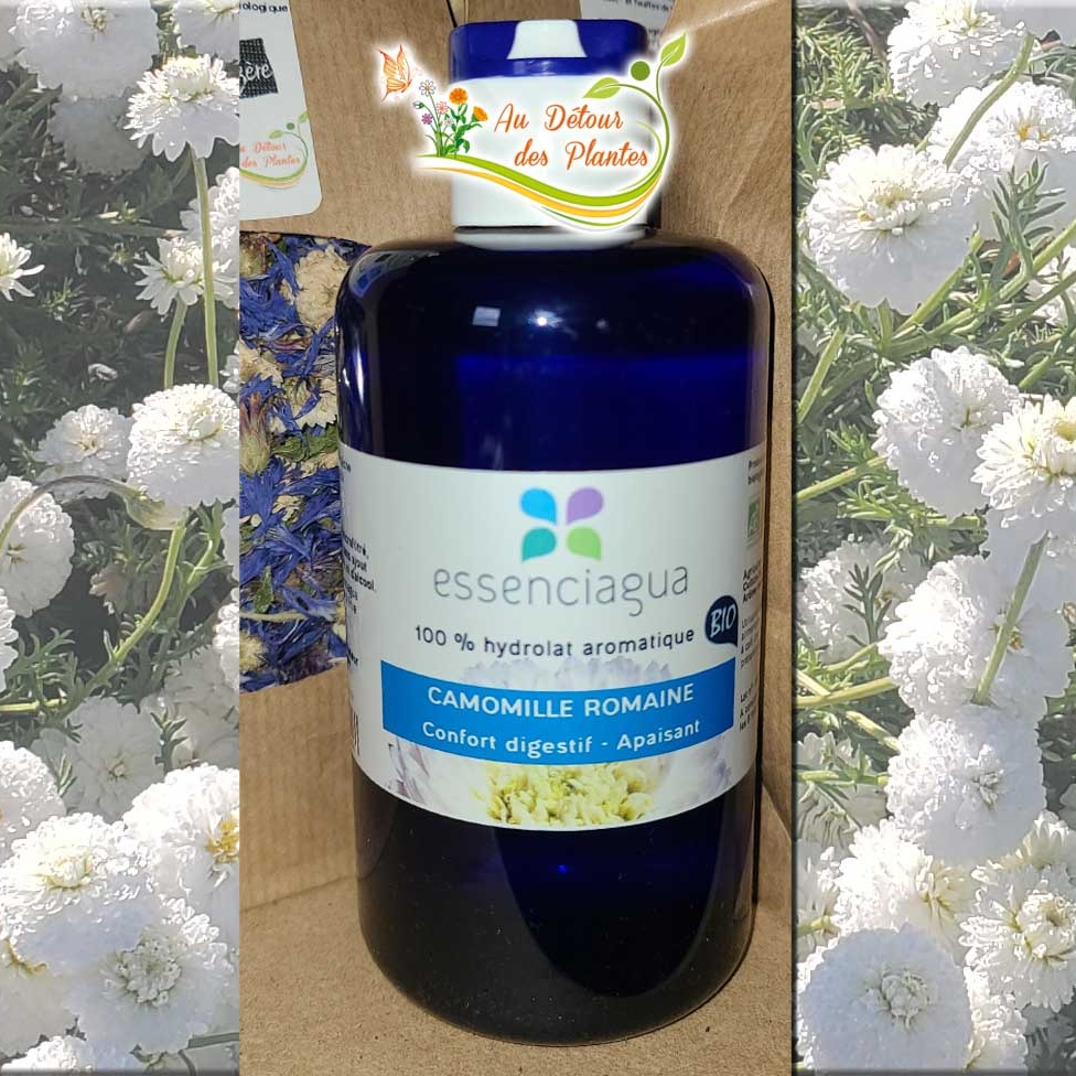 Hydrolat de Camomille Romaine - 250ml
