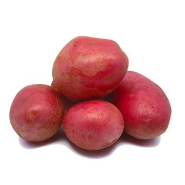 Pomme de terre pour purée - en vrac -Alouette