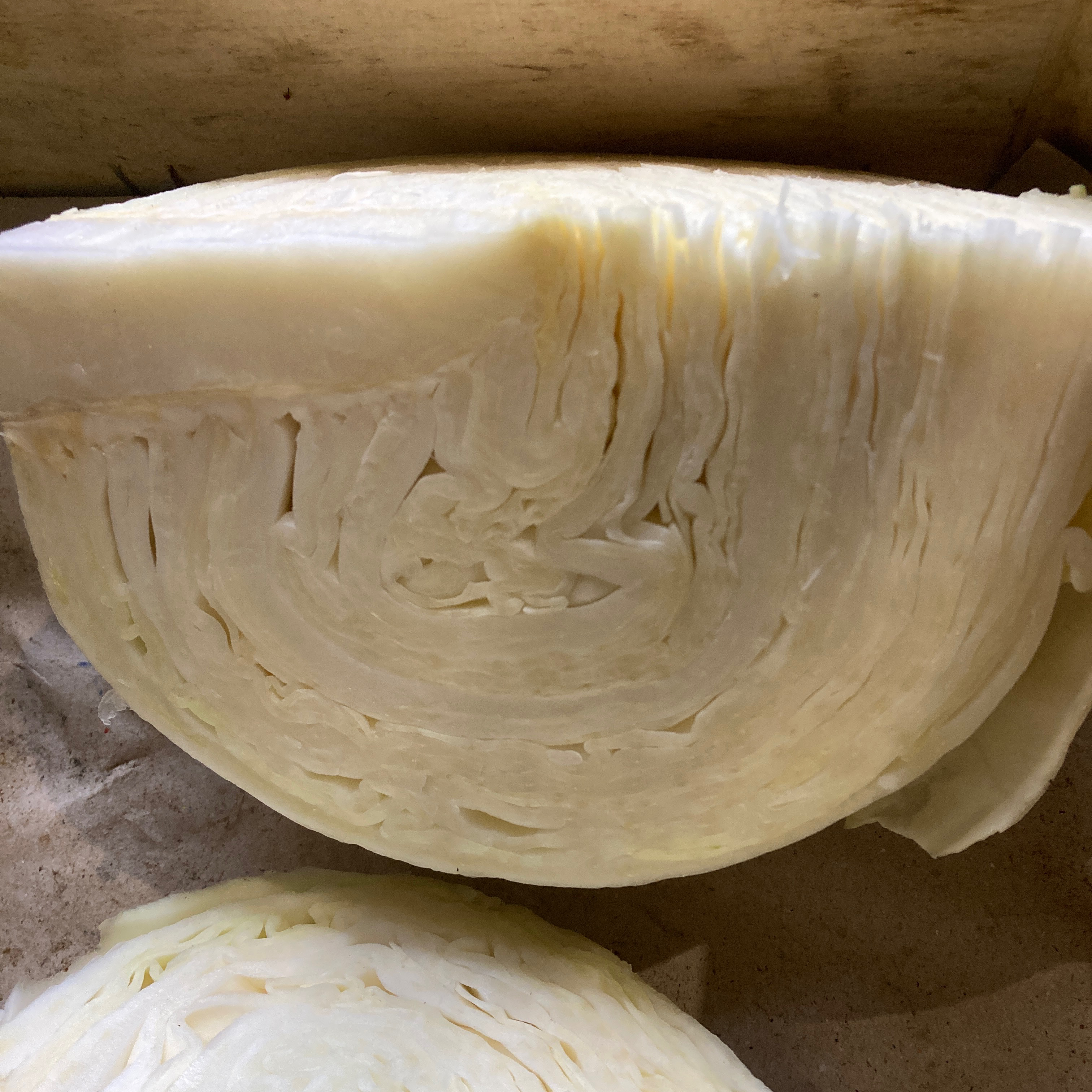 chou lisse blanc - 650g