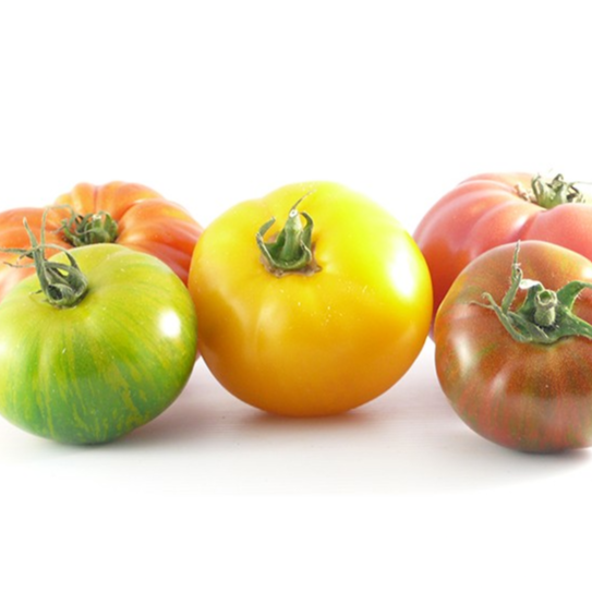 Tomates anciennes - mix