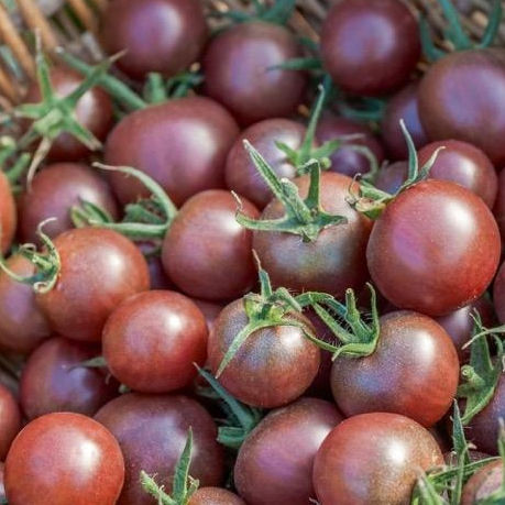 Tomate cerise - 400g