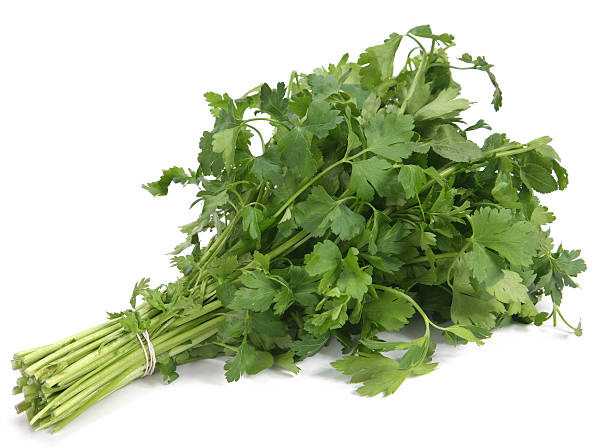Persil plat Géant d'Italie