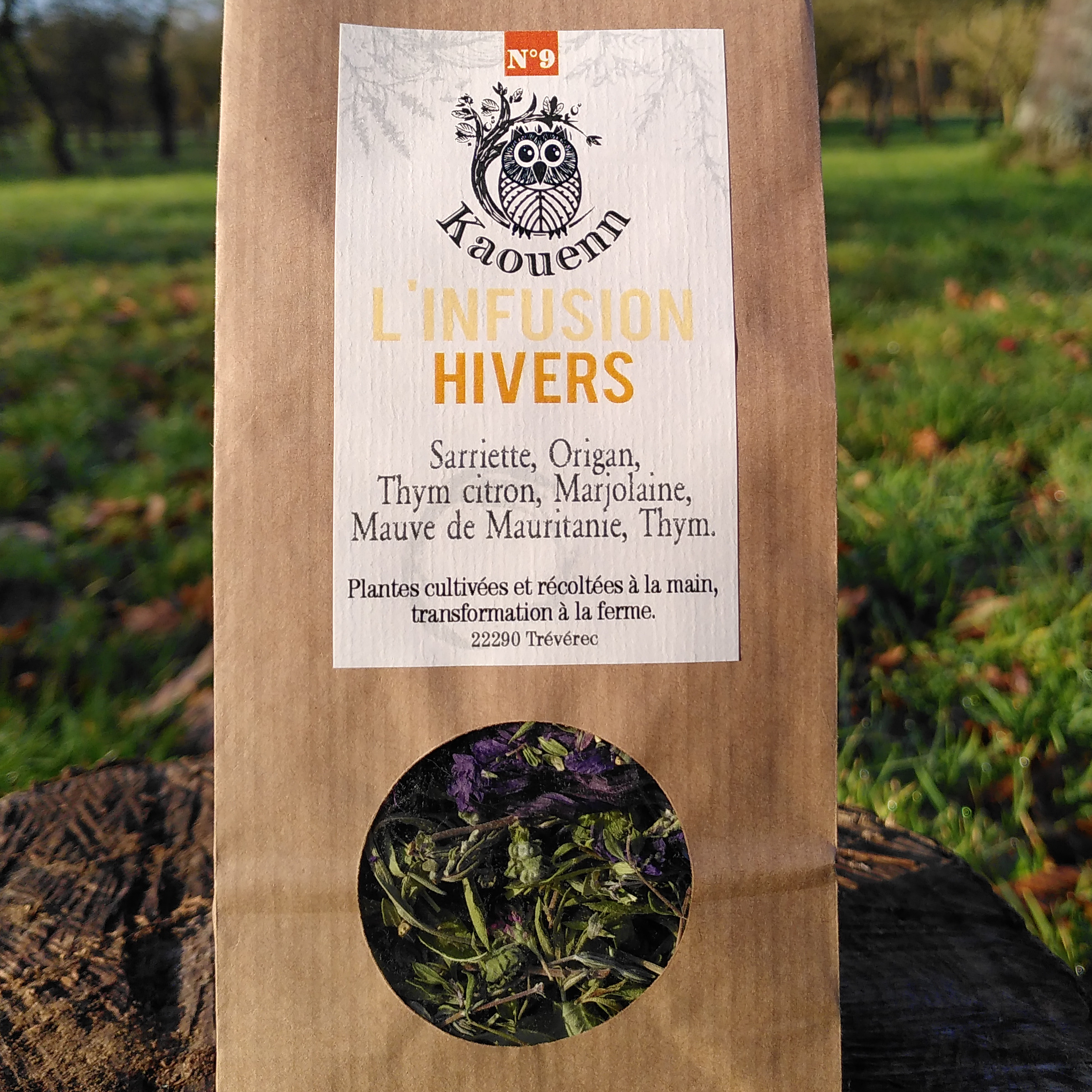 INFUSION HIVER - 25g