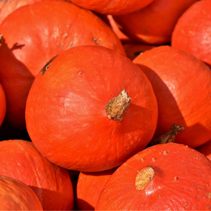Courge potimarron (pièce) - 1,4kg