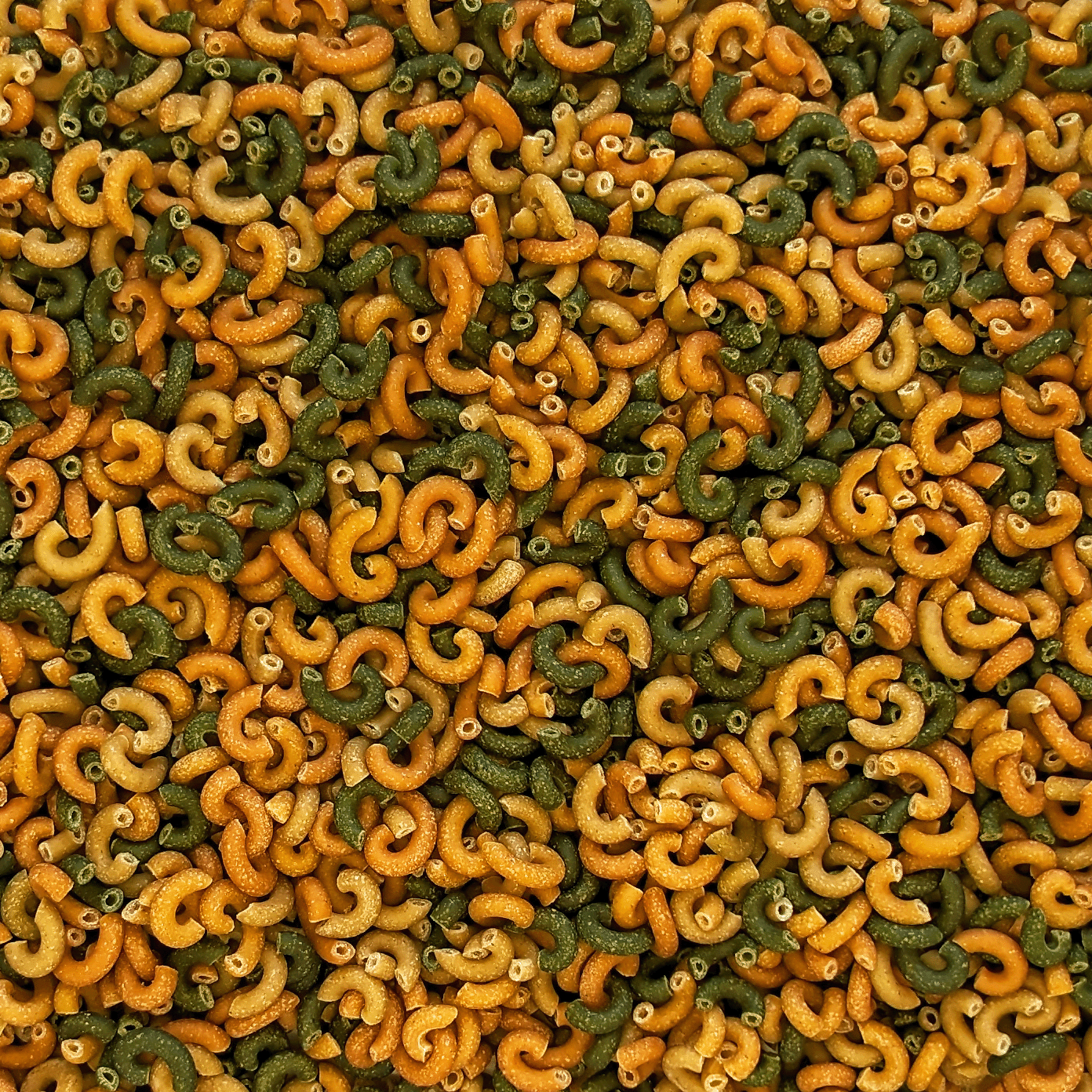 Coquillettes multicolores - 500g