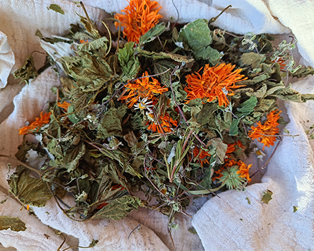 Tisane Nidation - 30g