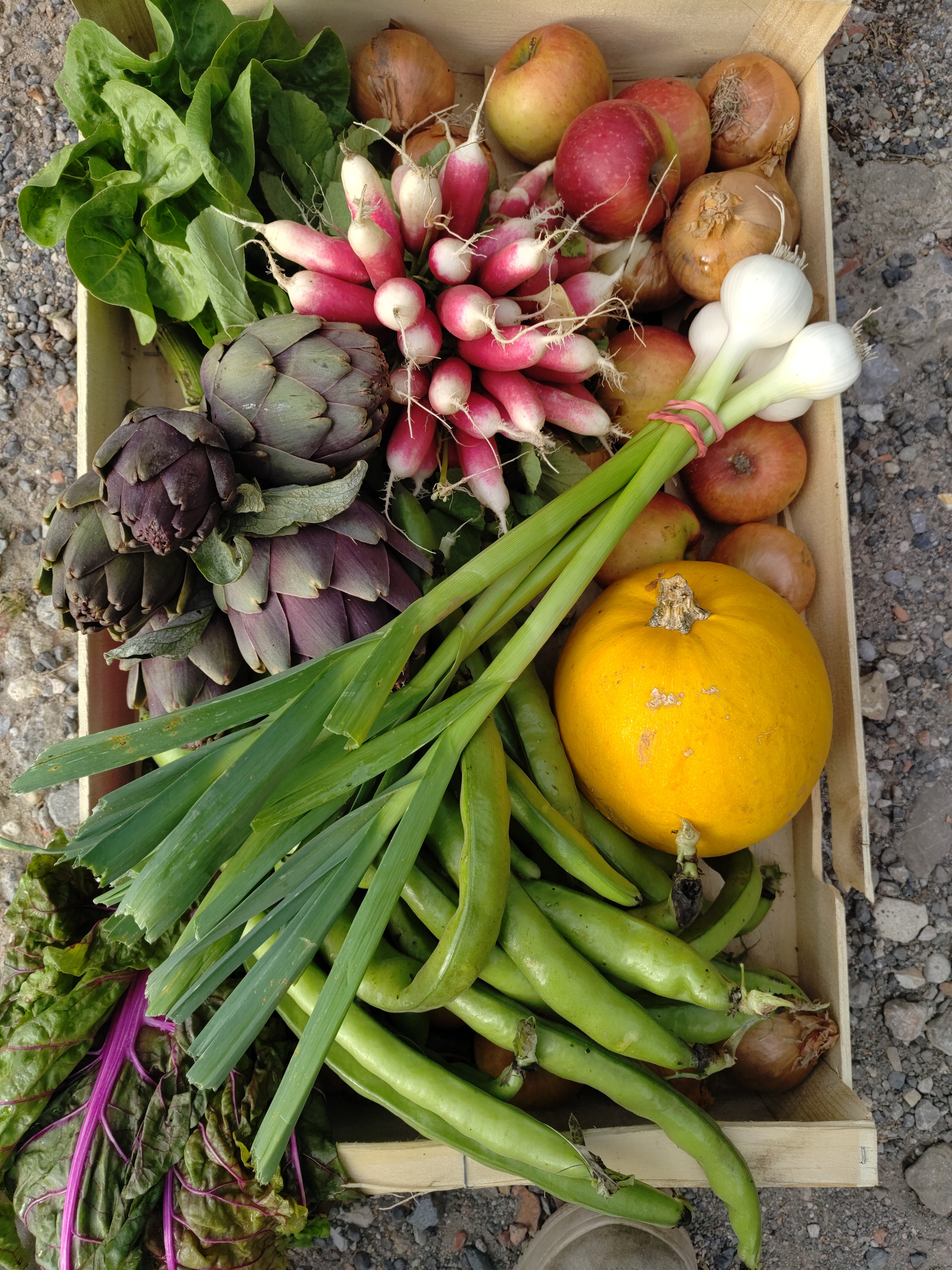 Paniers Fruits & légumes du moment 30€