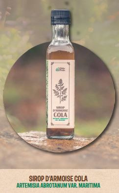 Sirop d'armoise cola - 250ml