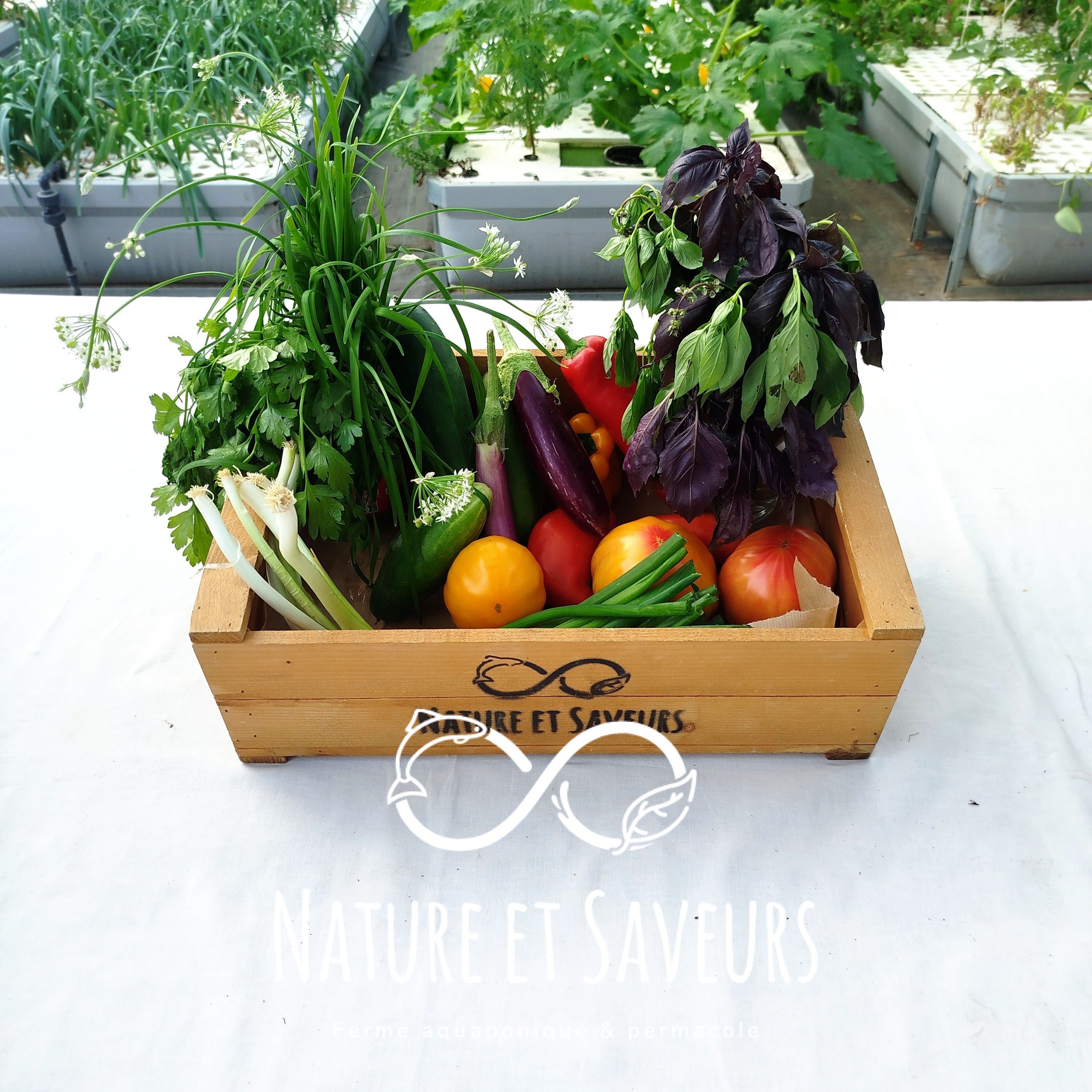 Petit Panier de légumes Astérien - 2000g