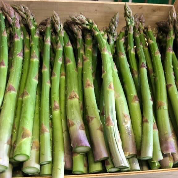 Asperge verte 1KG