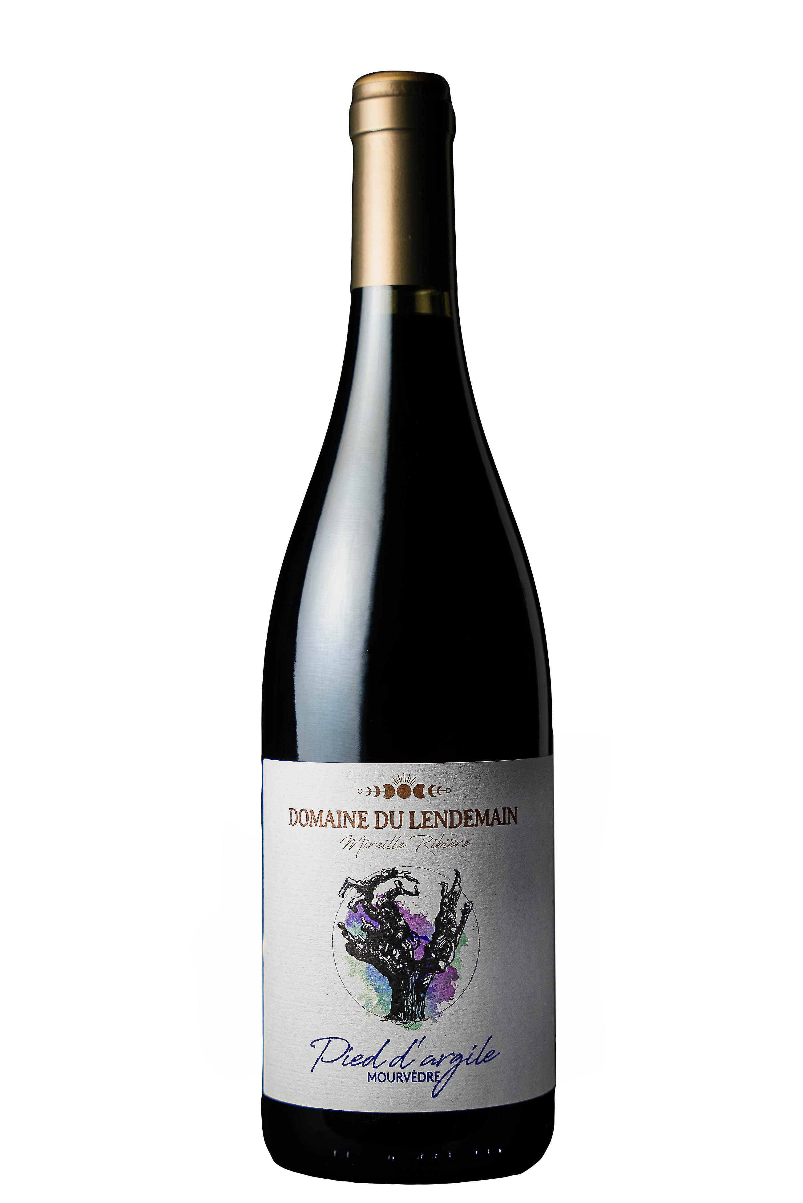 Pied d'Argile - Vins de France Rouge Bouteille