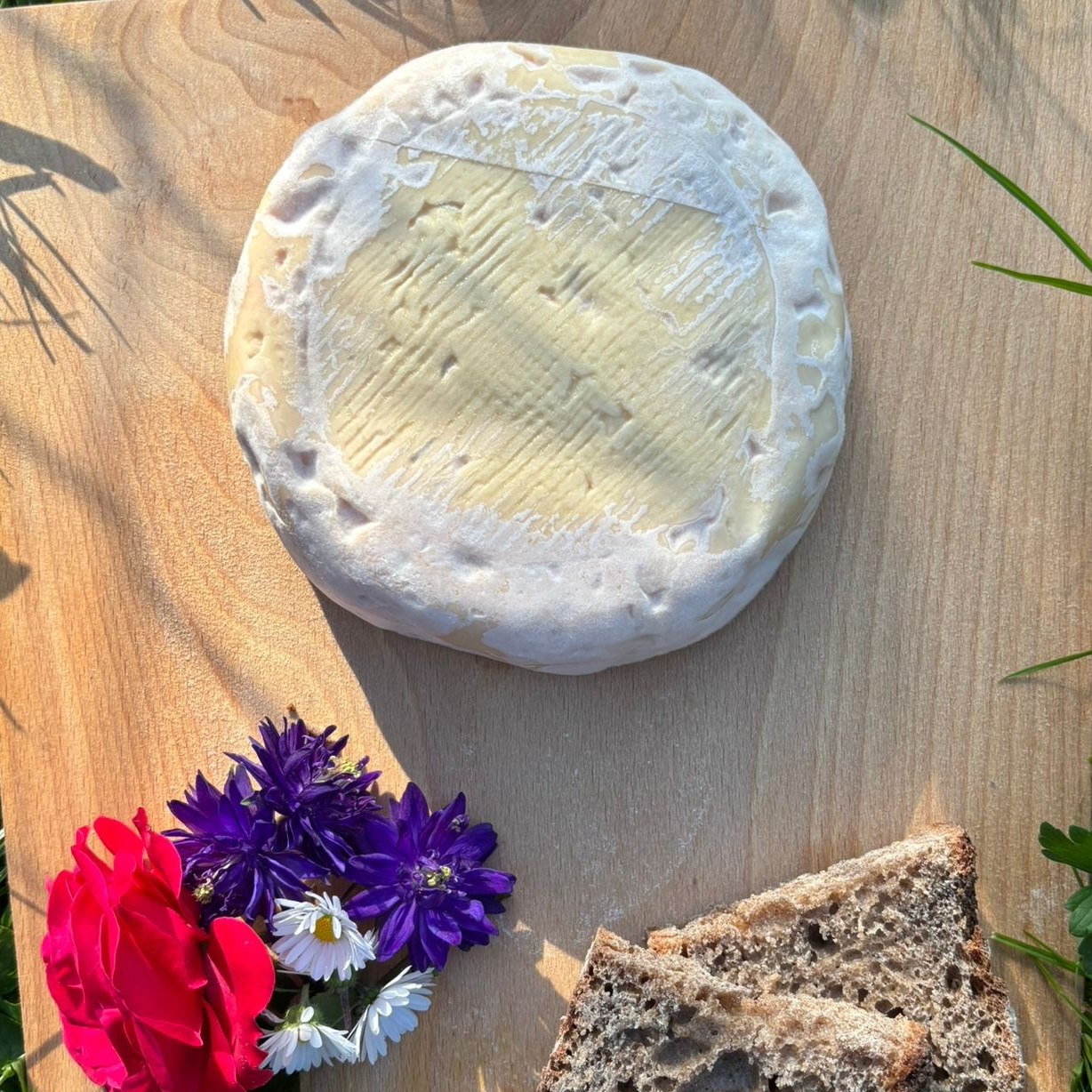 Munster Blanc - 1000g