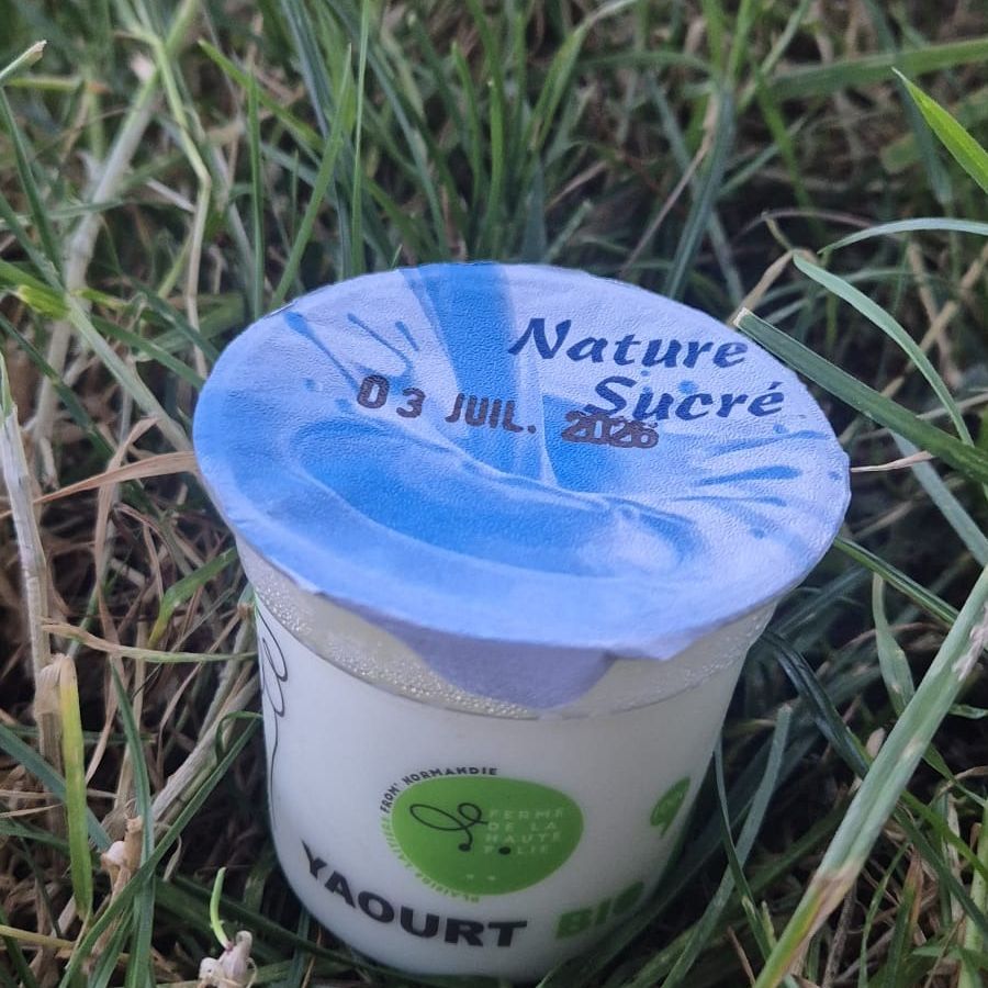 Yaourt nature sucré - 100g