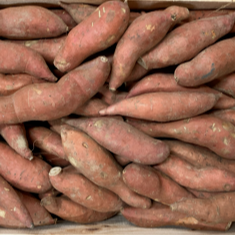 Patate douce - KG (petit calibre)