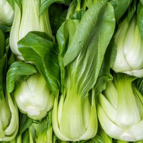 Chou Chinois Pak-Choï - 500g