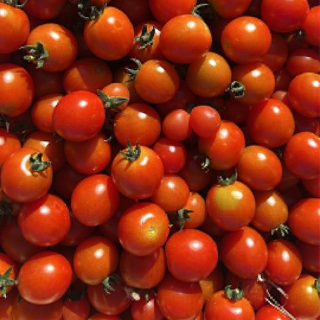 Tomate cerise - 0,3kg