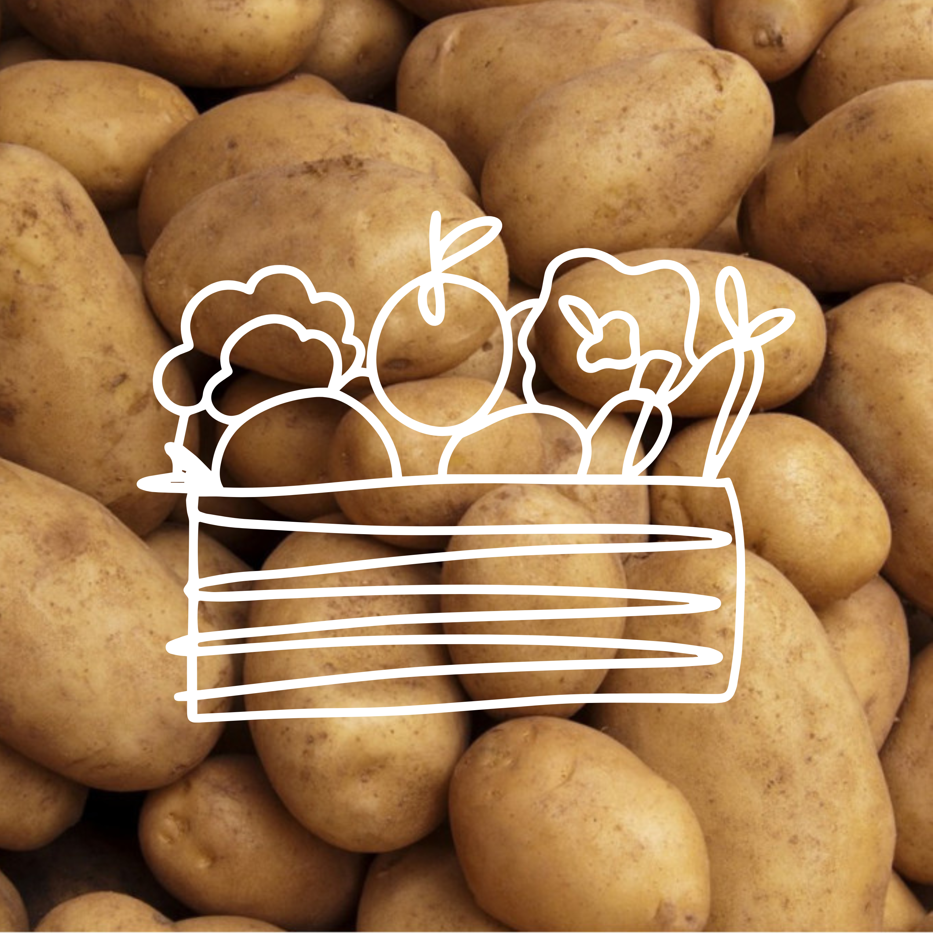 Pomme de terre Allians - Colis complet - 10kg