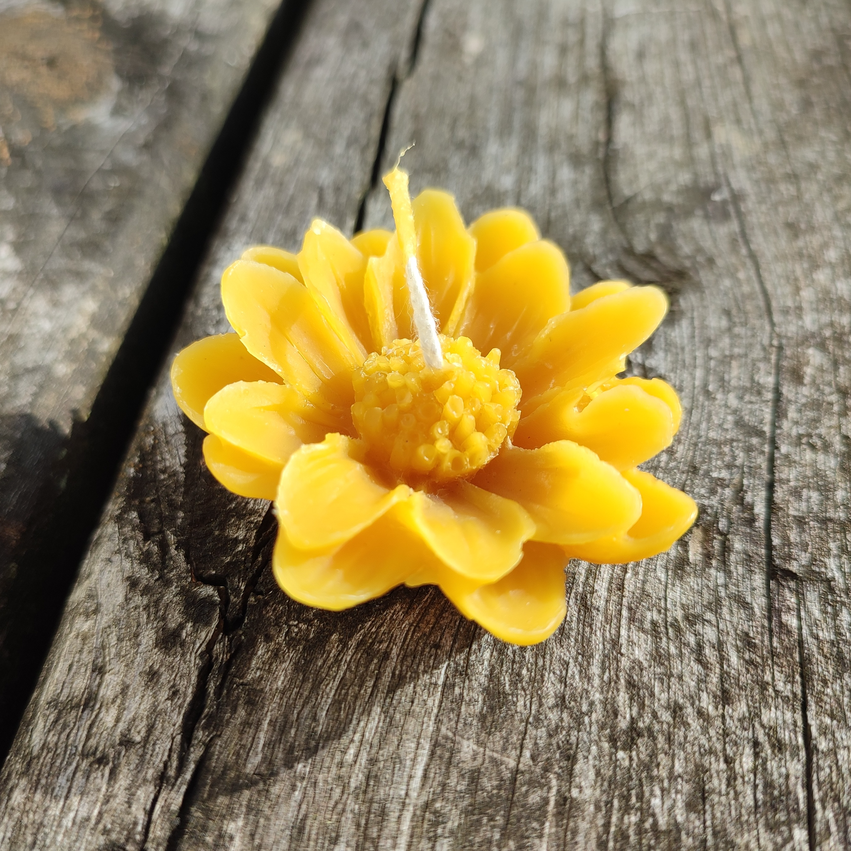 Marguerite