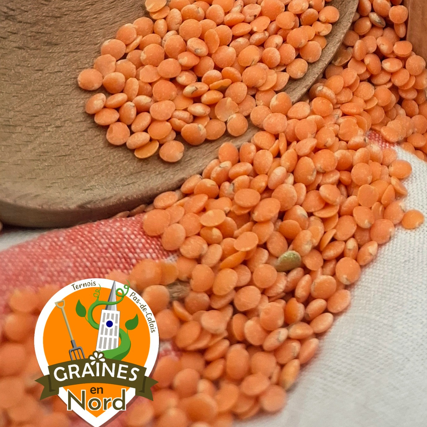 Lentilles Corail VRAC de 5 à 24 kg