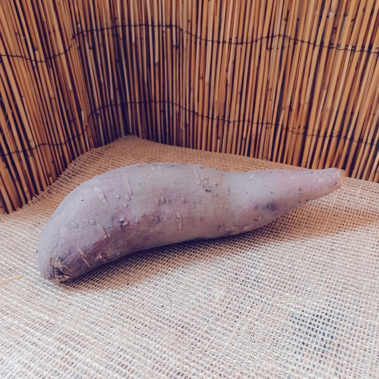 Patate Douce - GIE