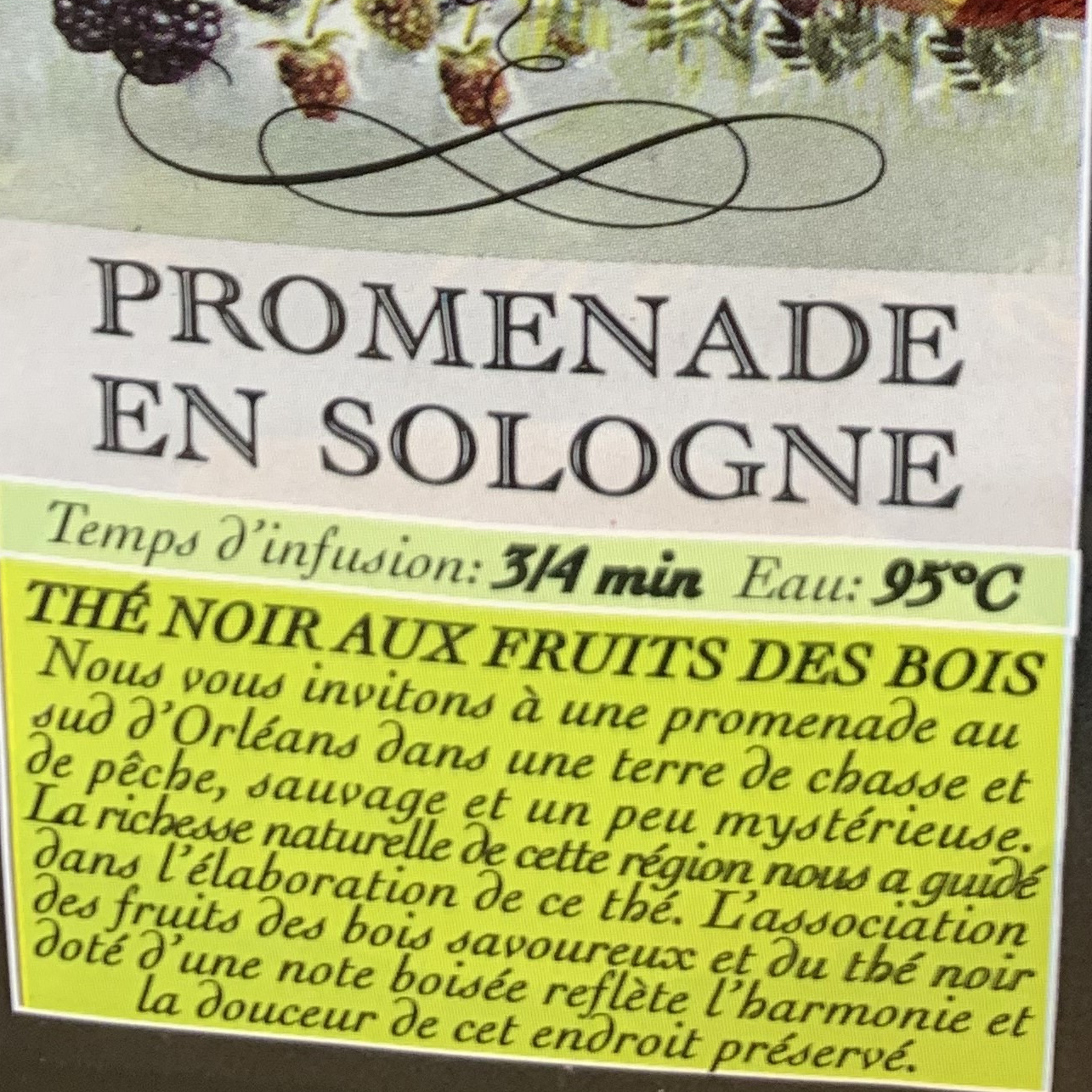 THE NOIR PROMENADE EN SOLOGNE