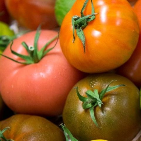 Tomate