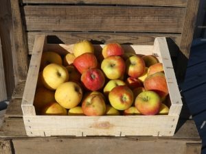 Pomme acidulée
