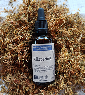 Alcoolature Millepertuis - 50ml