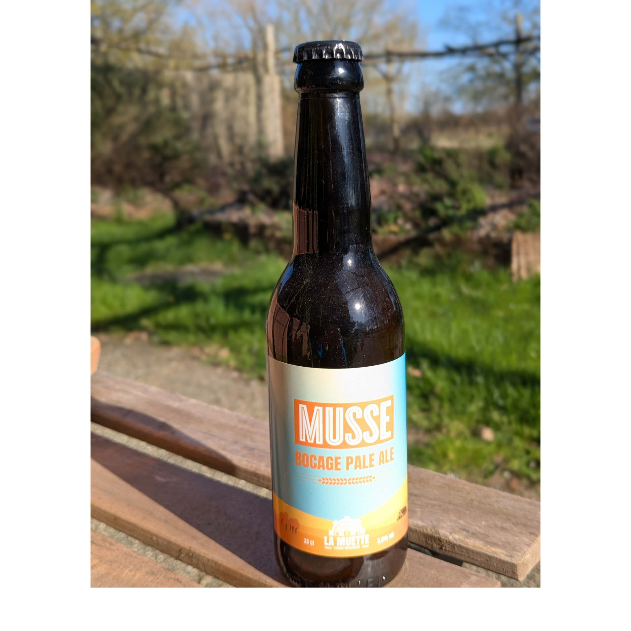 La musse -bocage pale ale - 330ml