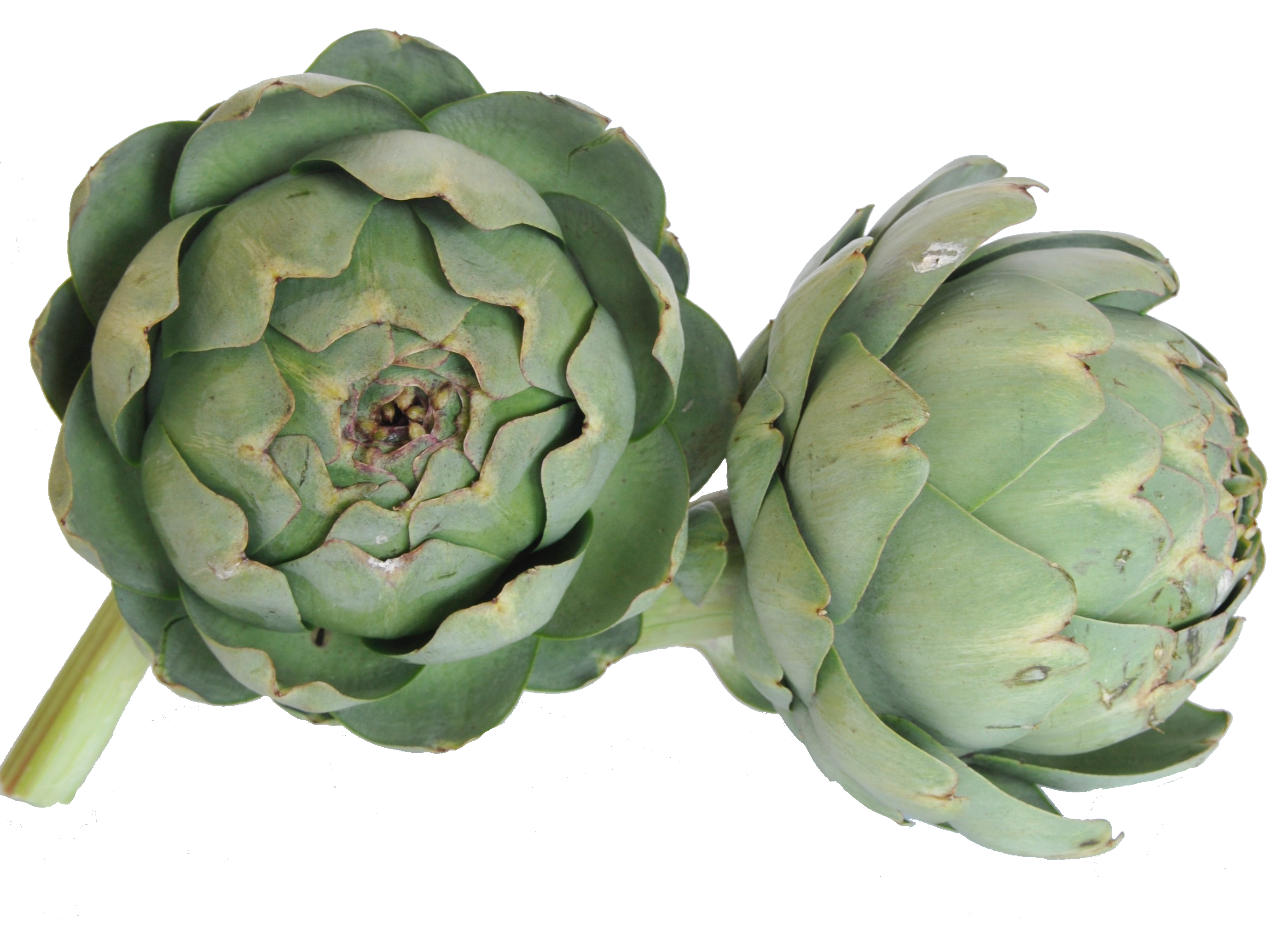 Artichaut vert - 400g