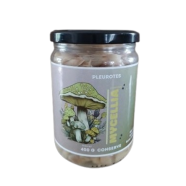 Conserve de Pleurotes - 400g