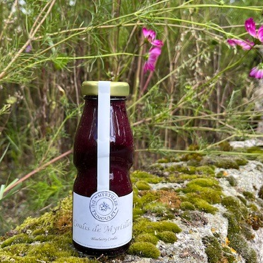Coulis Myrtilles (87% de fruits) - 220g - 220g