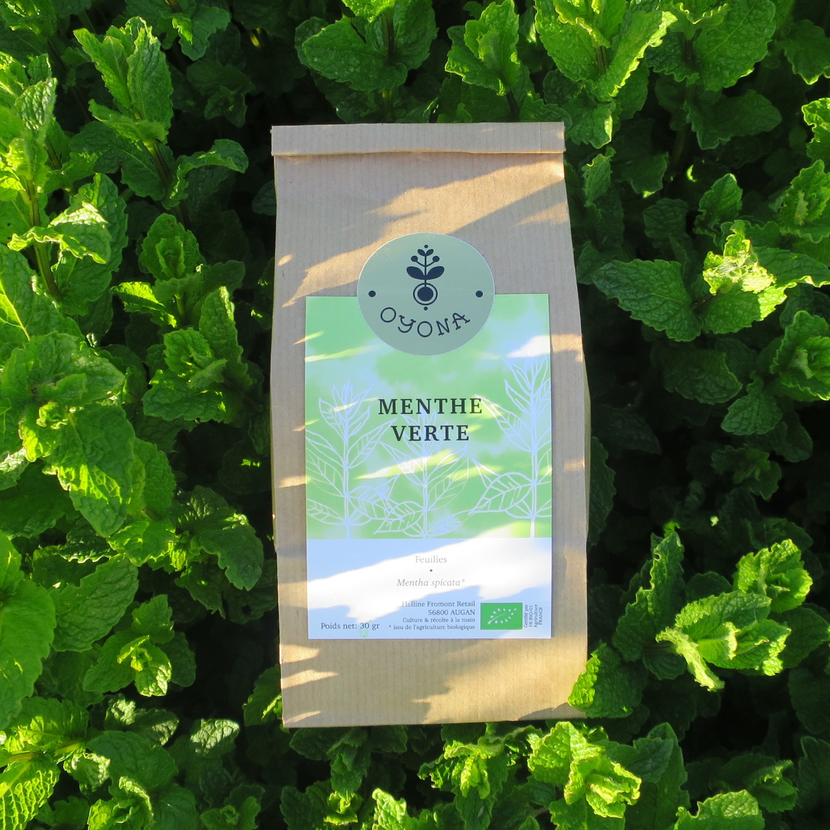 Menthe verte - 25g