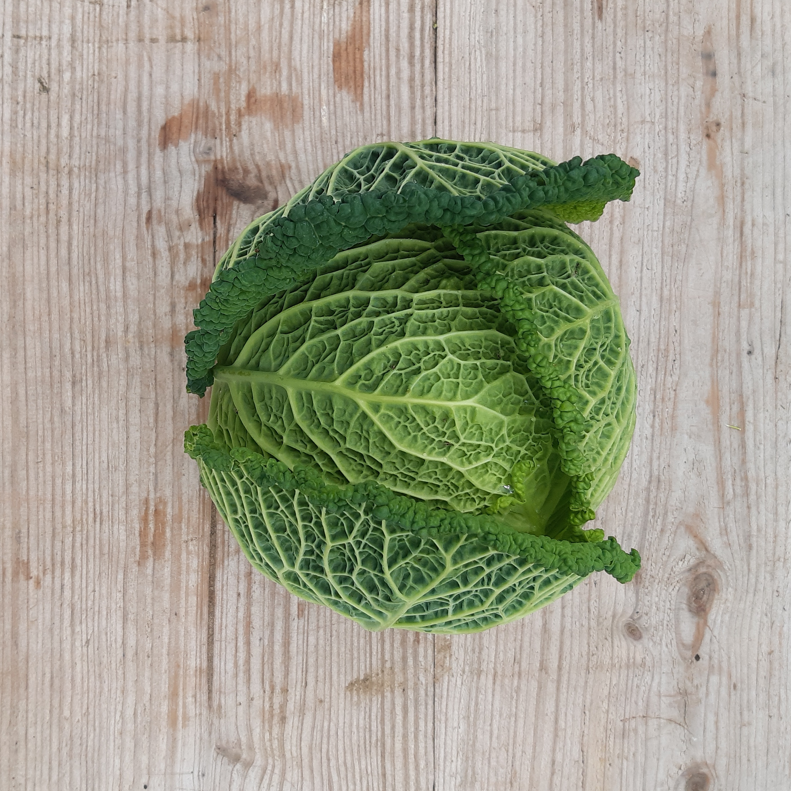 Chou frisé - 500g
