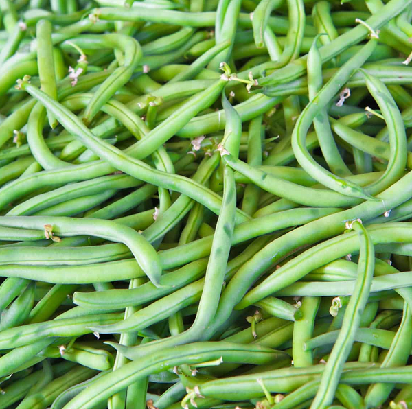 Haricots verts - 250g