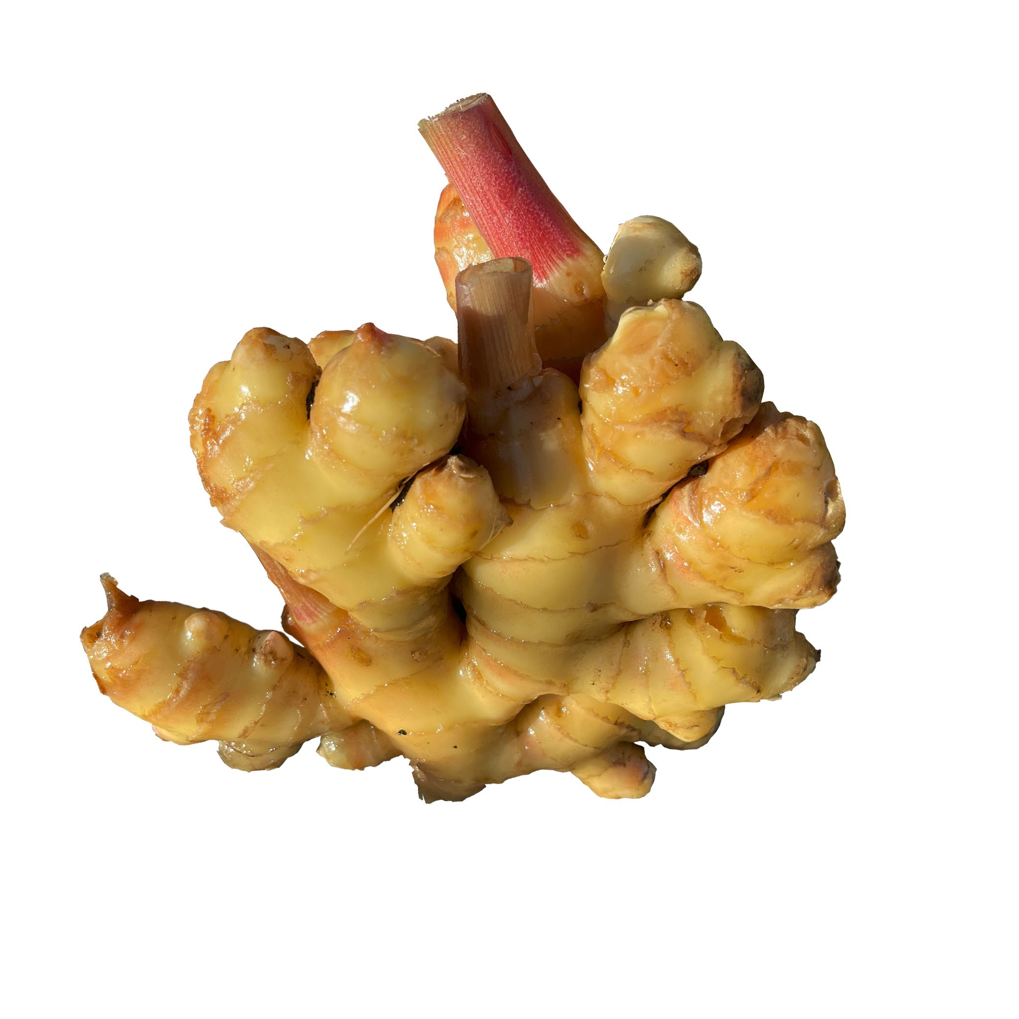 Gingembre frais - 250g